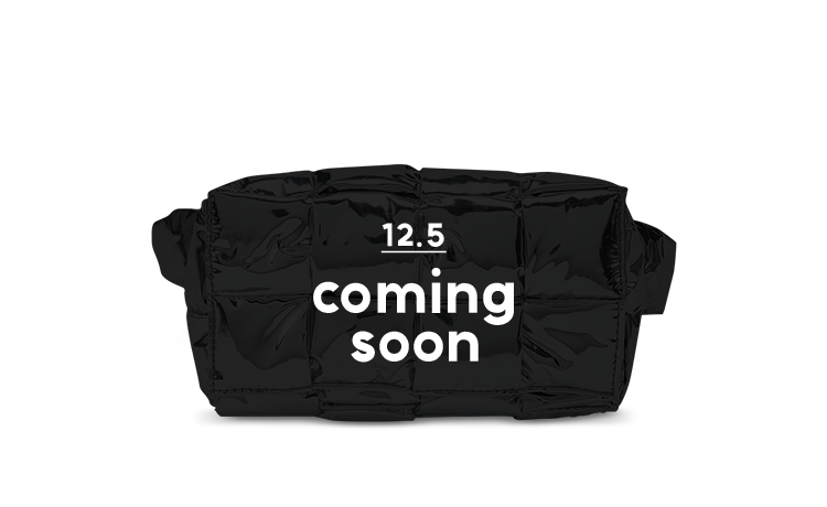 Bottega Veneta Bag (12월 5일, coming soon)