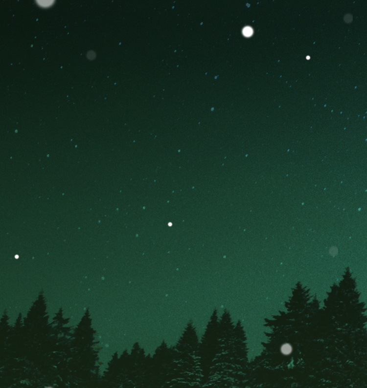 눈 내리는 초록색 밤 하늘의 숲 속 배경 이미지
