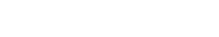 VIDI (I SAW)