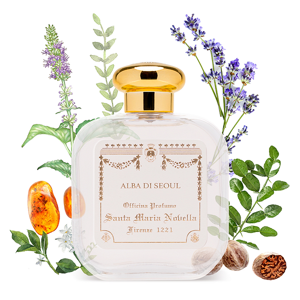 Santa Maria Novella 산타마리아노벨라 알바 디 서울 오드코롱 50ml S I Village 에스아이빌리지