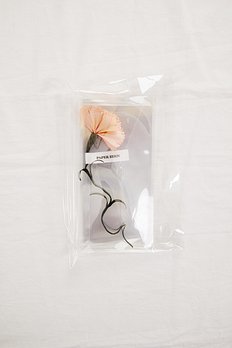 [Paper Eden] Carnation (카네이션) 포스트 플라워