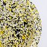 [Fabrik Pottery] 스플래쉬 런치 플레이트 Yellow & Black (BOONTHESHOP Exclusive)