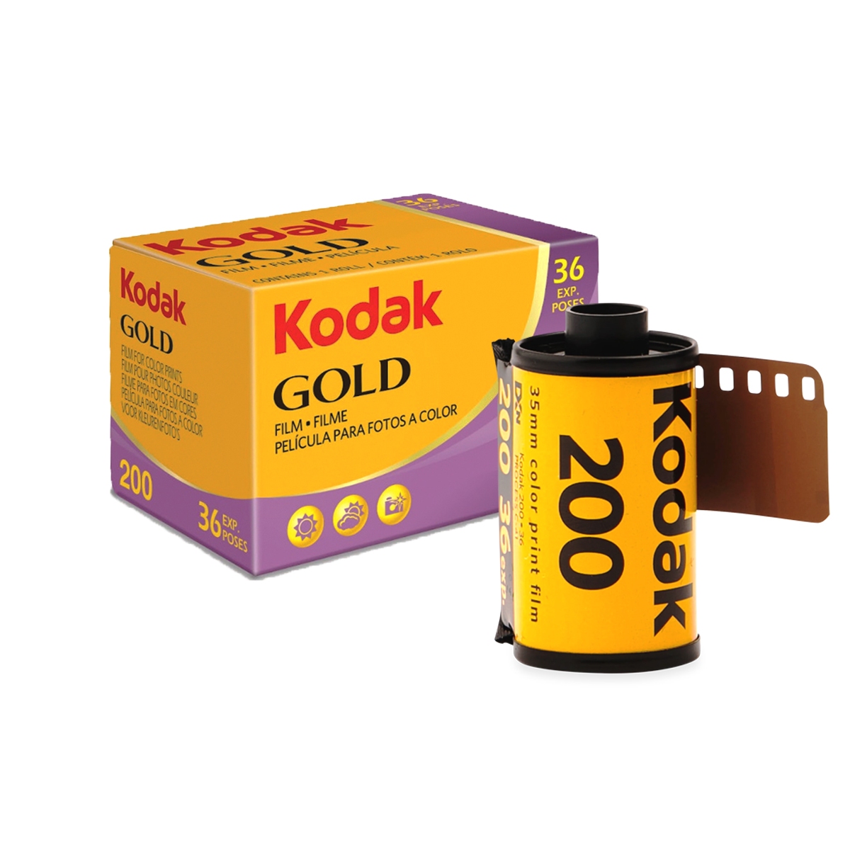 Kodak 코닥 코닥 골드 Iso 200 36컷 컬러필름 S I Village 에스아이빌리지