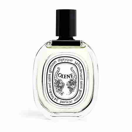 DIPTYQUE(딥티크) 오 드 뚜왈렛 올렌느 100ml | S.I.VILLAGE (에스아이빌리지)