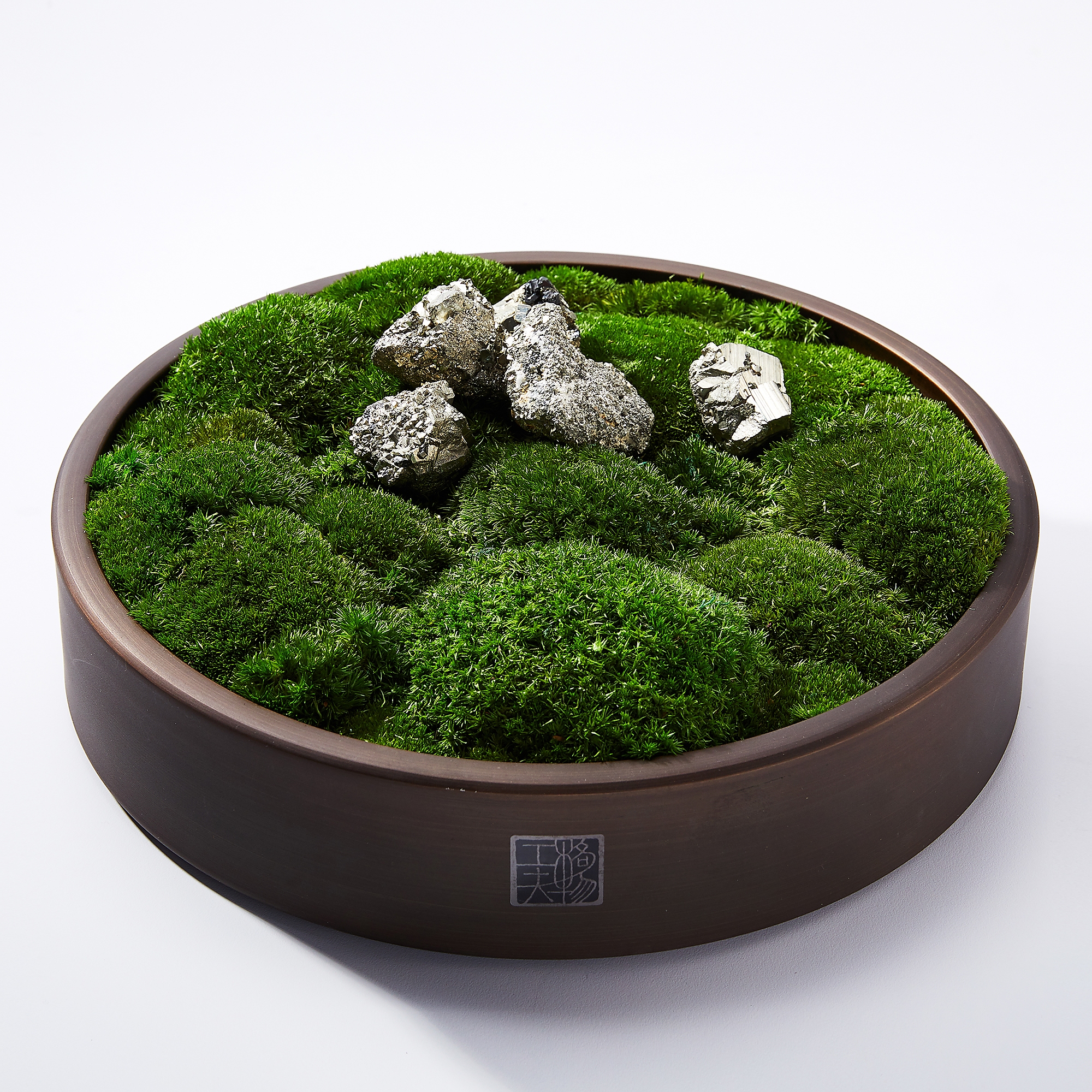 Preserved Moss