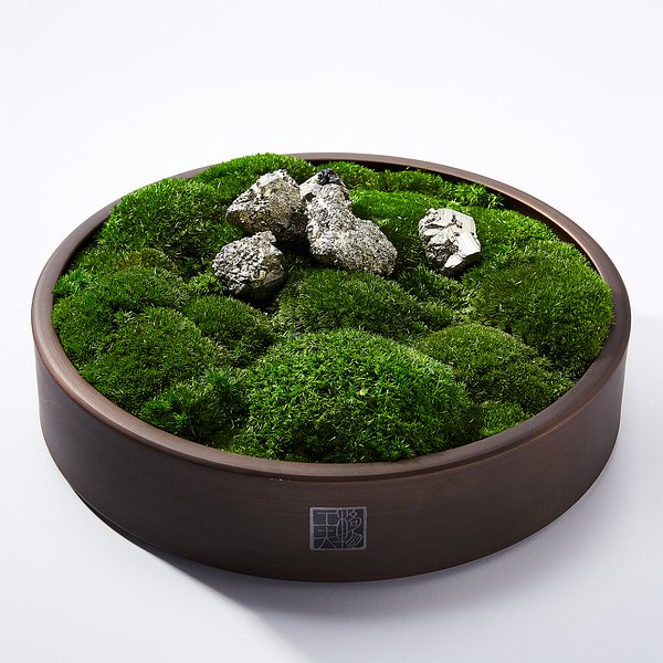 Preserved Moss