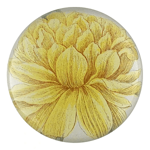 [John Derian] Yellow Narcissus (on Stem) 돔 유리 문진