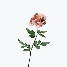[Paper Eden] Rose (장미) 페이퍼 플라워