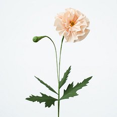 [Paper Eden] Poppy (양귀비) 페이퍼 플라워