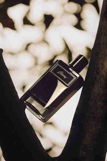 BRIONI PERFUME(브리오니 퍼퓸) [브리오니] 브리오니 인텐스 EDP 100ML | S.I.VILLAGE (에스아이빌리지)