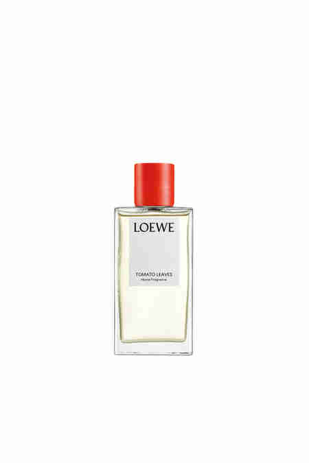 LOEWE PERFUMES(로에베 퍼퓸) 홈 프래그런스 토마토 리프 | S.I.VILLAGE (에스아이빌리지)