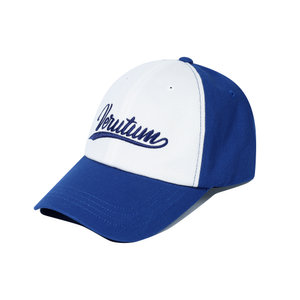 VERUTUM(베루툼) HW-BC192 : Two Tone Wave Logo Ball CapㅣBlue | S.I.VILLAGE (에스아이빌리지)