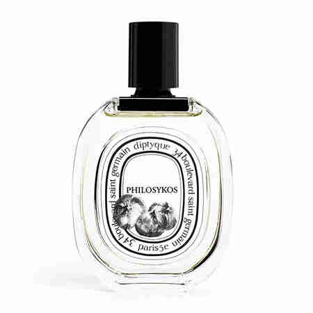 DIPTYQUE(딥티크) 오 드 뚜왈렛 필로시코스 100ml | S.I.VILLAGE (에스아이빌리지)