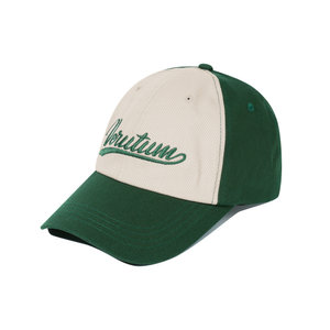 VERUTUM(베루툼) HW-BC192 : Two Tone Wave Logo Ball CapㅣGreen | S.I.VILLAGE (에스아이빌리지)